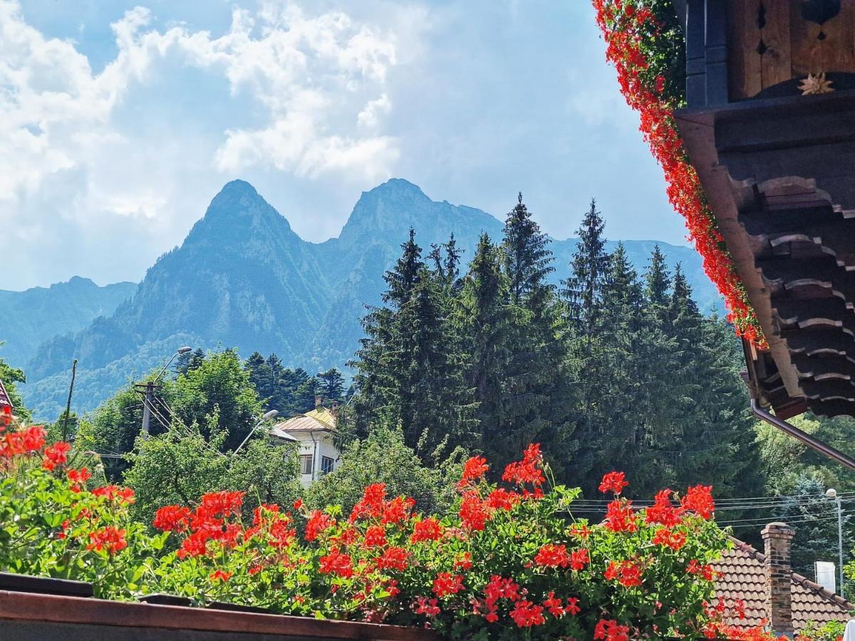 Amor Tirol Busteni (Adults Only) Exterior photo